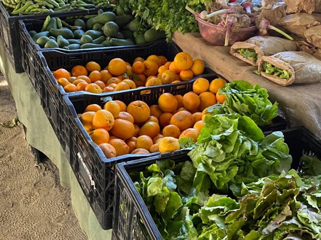 Ecoferia-圣地亚哥必去景点