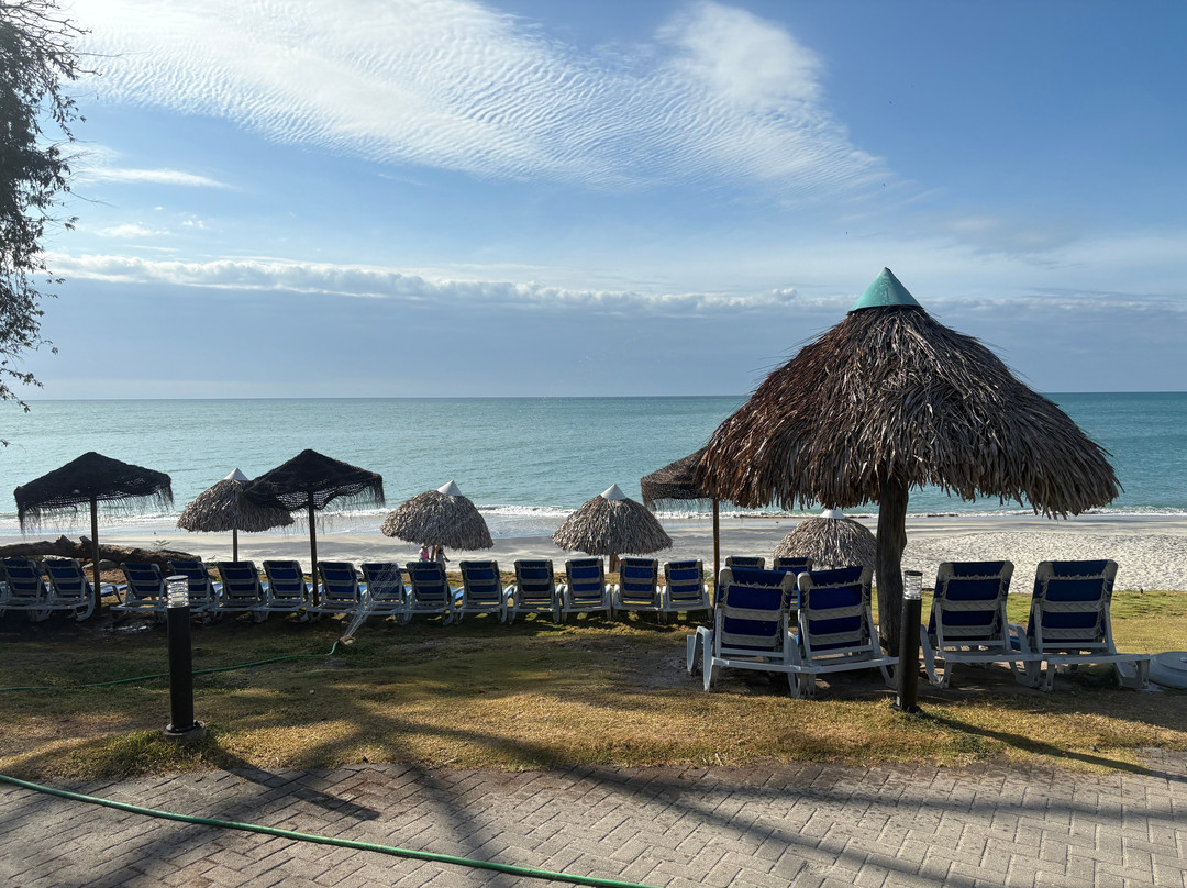 Gran Evenia Bijao主图