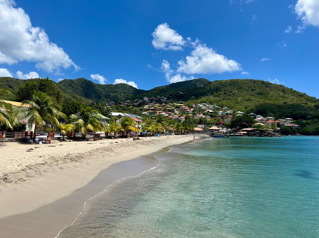 Grand Anse d'Arlet-Les Anses d'Arlet必去景点