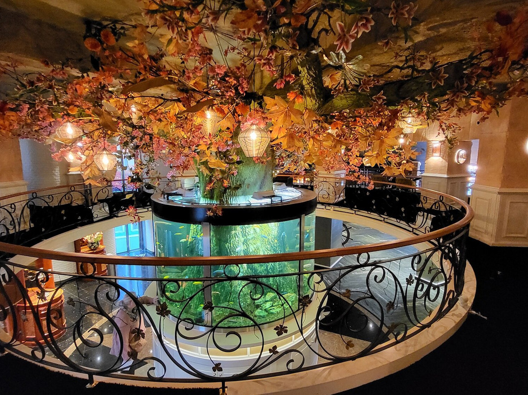 Hotel & Restaurant Infinity主图