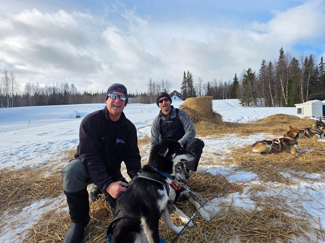 Petter Karlsson Sleddogs景点图片
