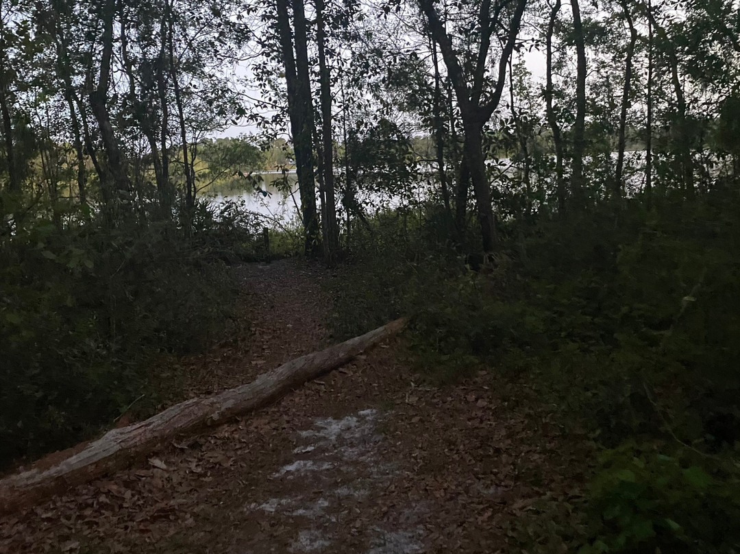 The Ann Stevens House主图