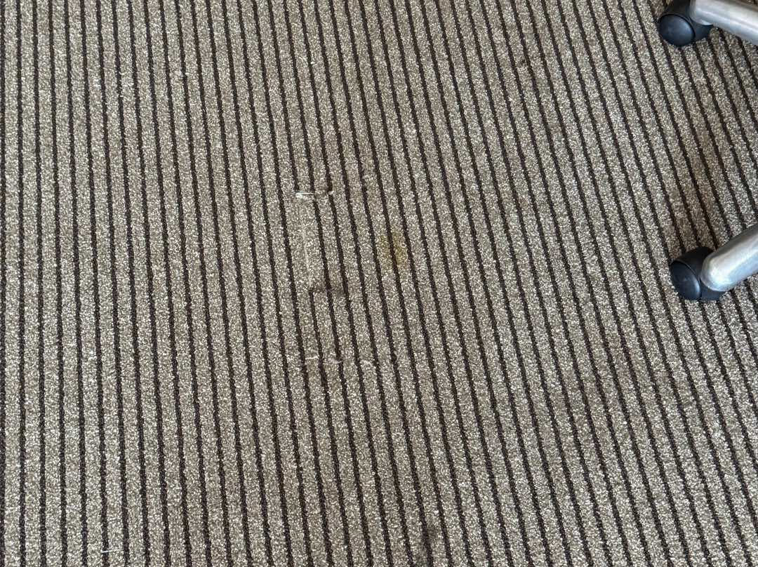 迈阿密机场东凯悦嘉轩酒店主图