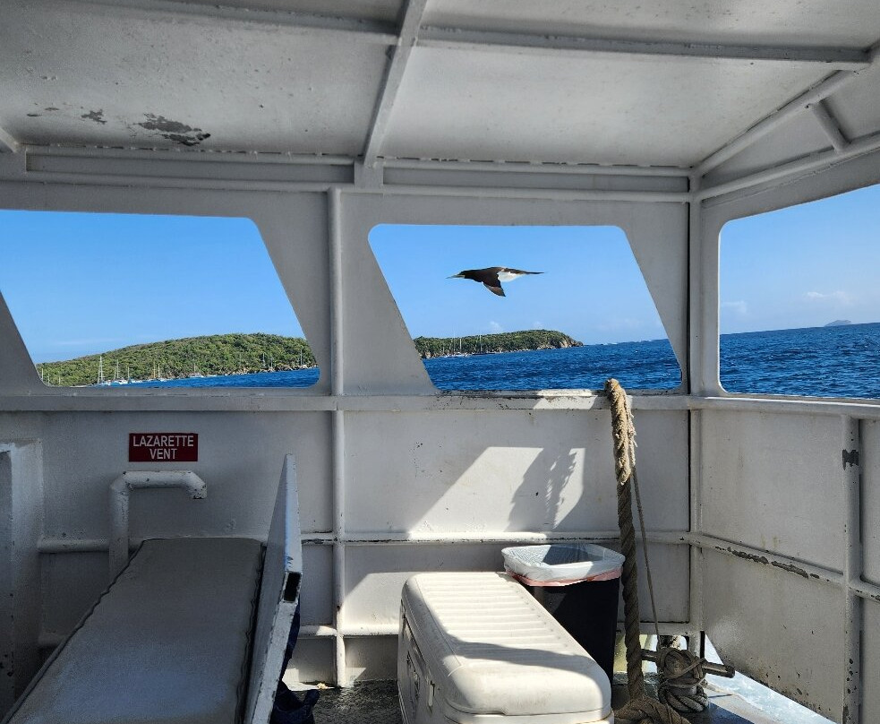 Inter Island Boat Service-克鲁兹湾必去景点