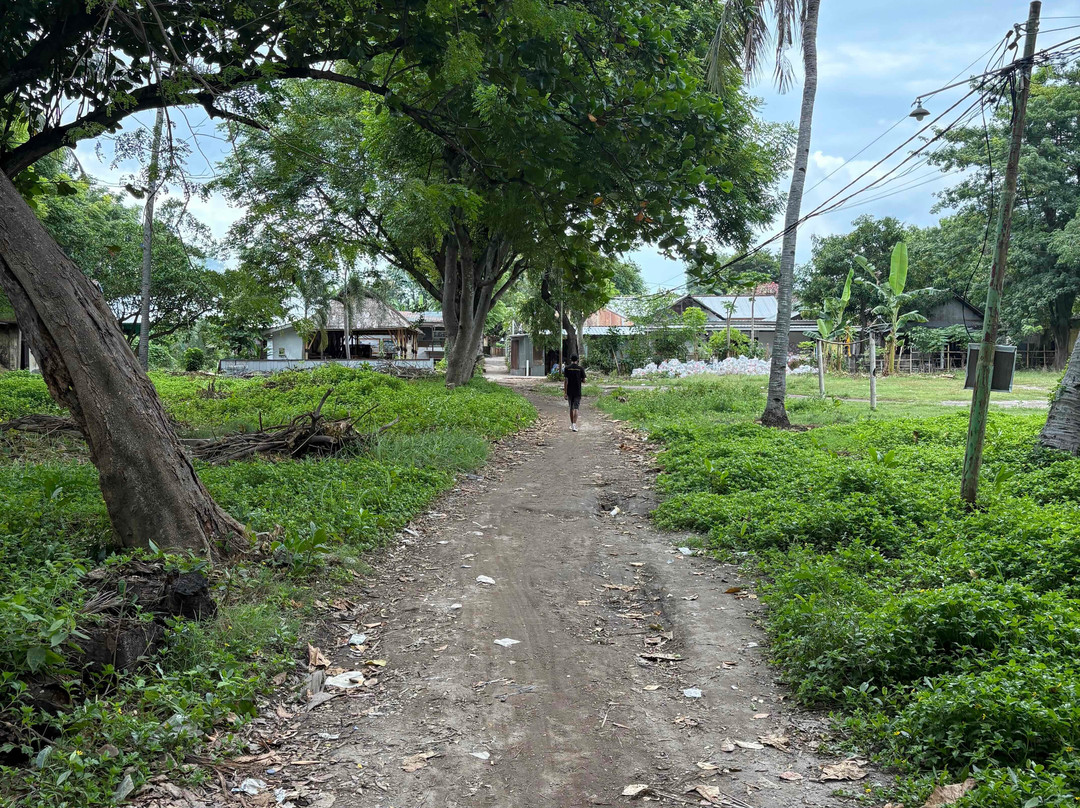 珊瑚别墅酒店及餐厅主图