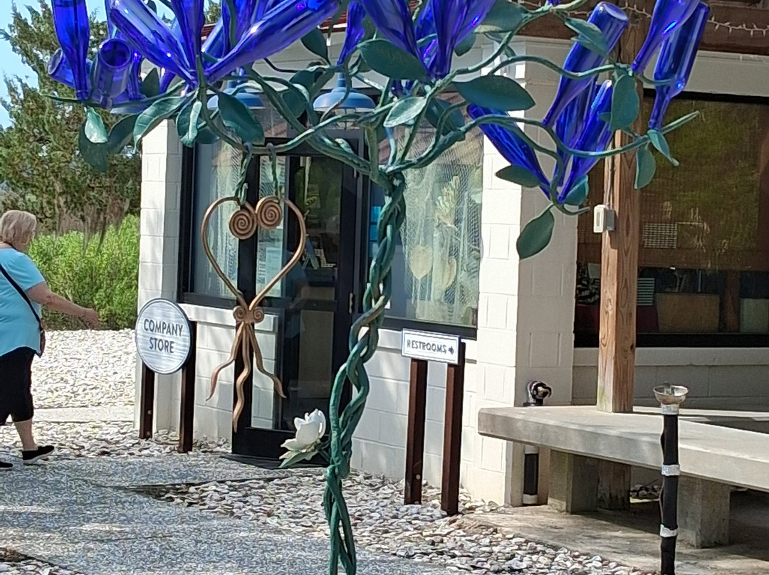 Pin Point Heritage Museum-萨凡纳必去景点