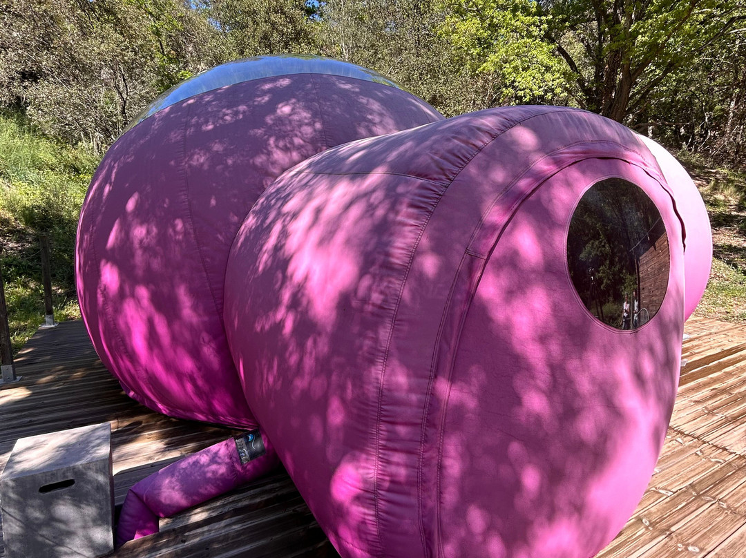 Les Perles Catalanes主图