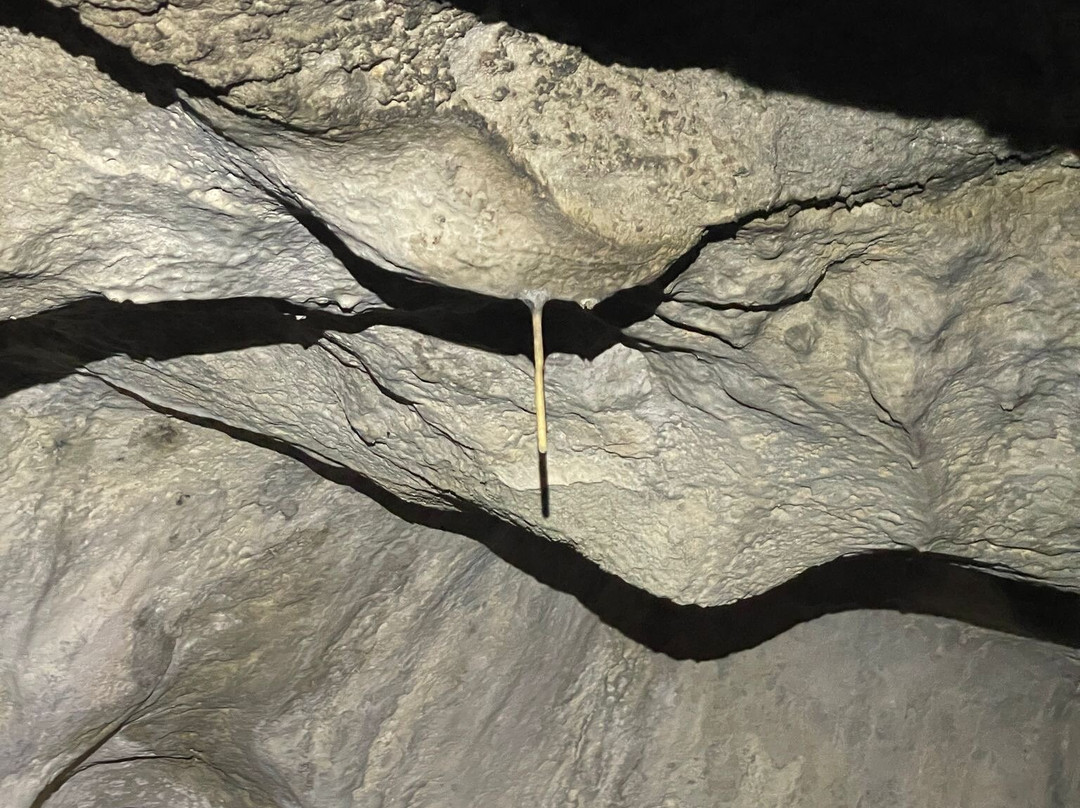 Riserva Naturale Grotta di Carburangeli景点图片