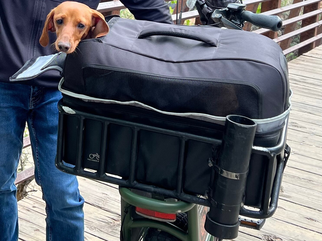 Greater Zion E-bikes-斯普林代尔必去景点