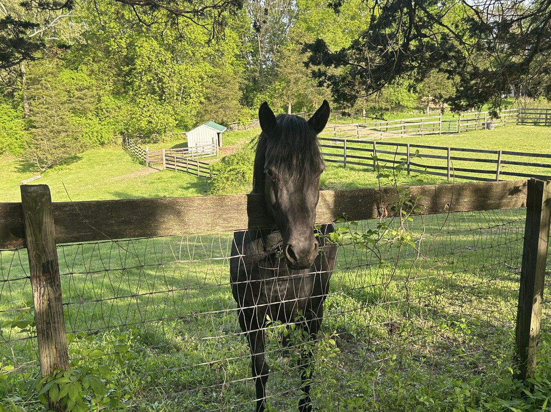 WhistleWood Farm Bed and Breakfast主图