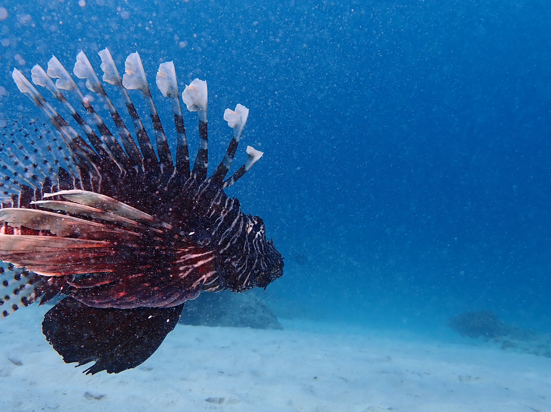 Freedive Weh-韦岛必去景点