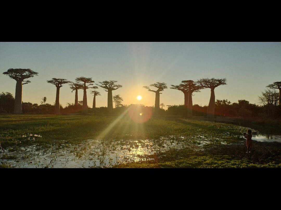 Madagascar Touring景点图片