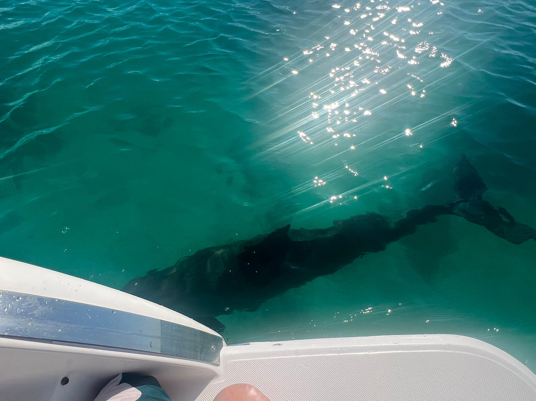 Island Adventure TCI-普罗维登西亚莱斯必去景点