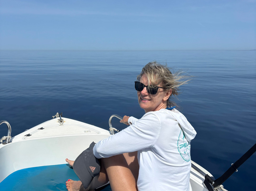 Sifnos Bloomarine-锡弗诺斯岛必去景点