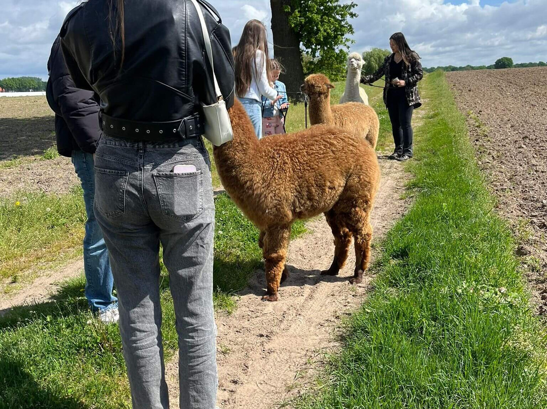 Alpacaboerderij Hertingshof