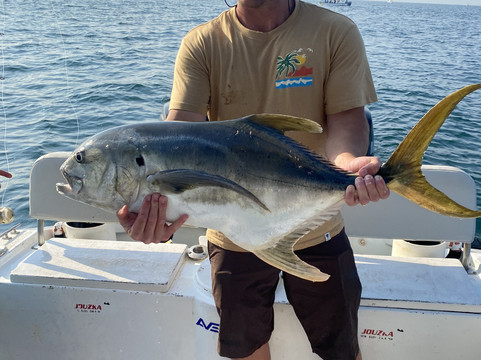 Vikingo Charters-瓦拉塔港必去景点