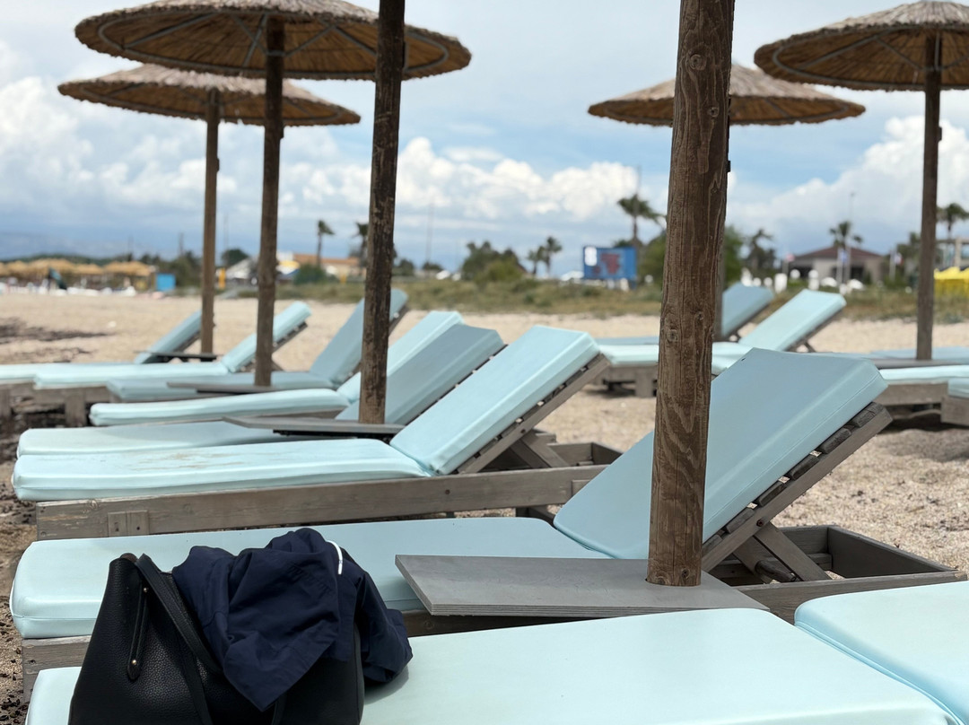 Bostonia Village主图