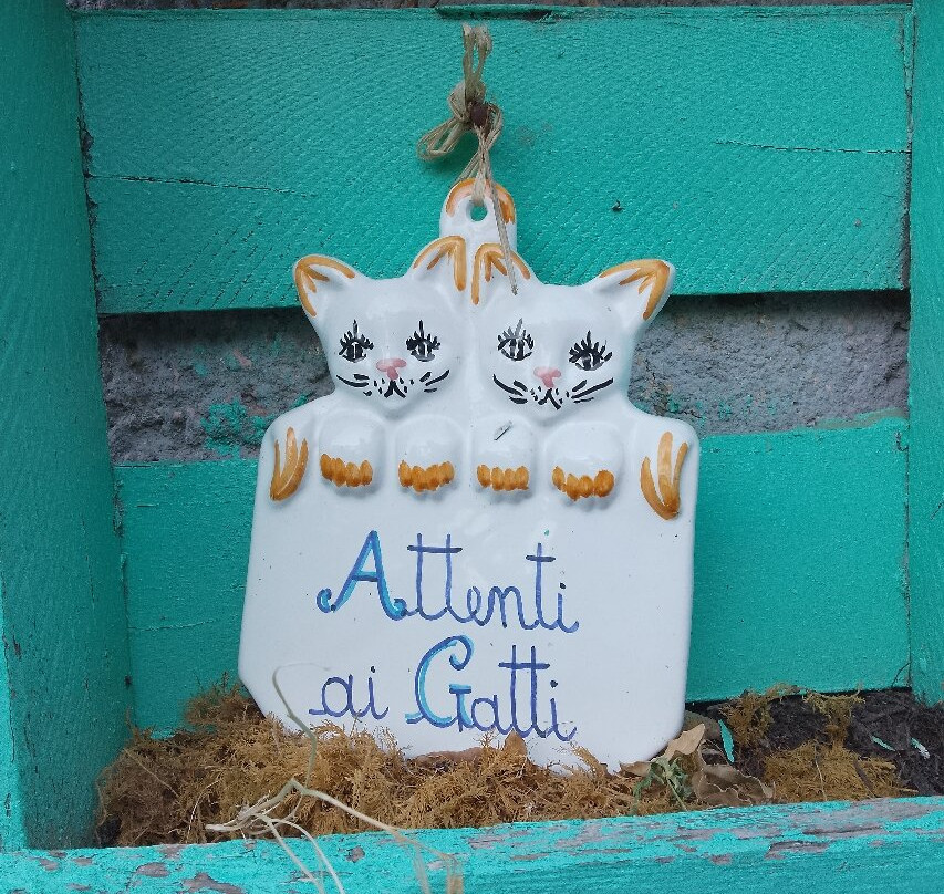 Rifugio la Mestà主图