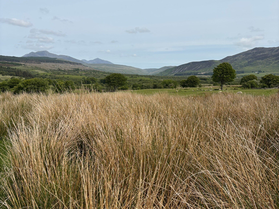 Machrie Moor Stone Circles-Isle of Arran必去景点
