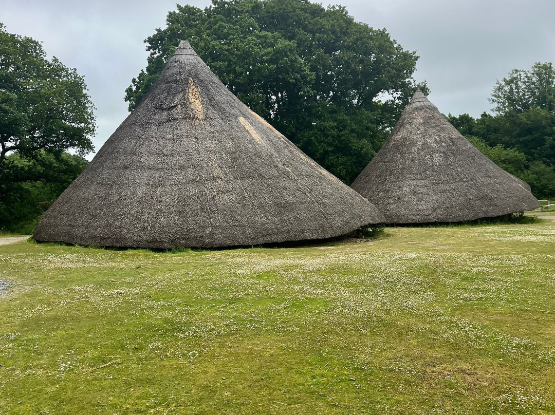 Castell Henllys Iron Age Village景点图片