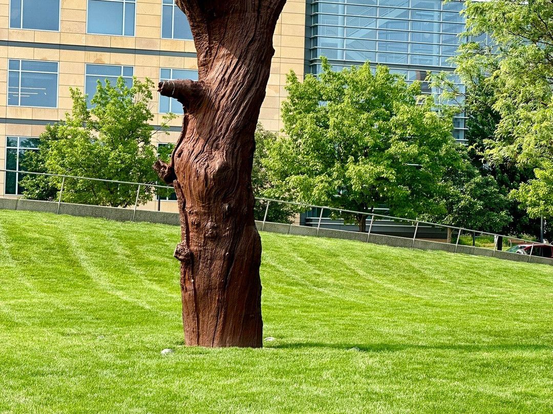 Pappajohn Sculpture Park景点图片