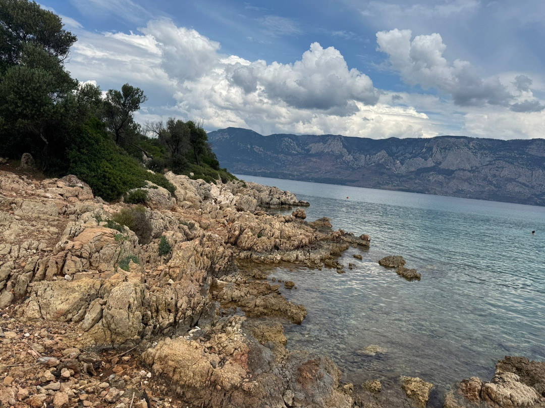 Marmaris Travel Center景点图片