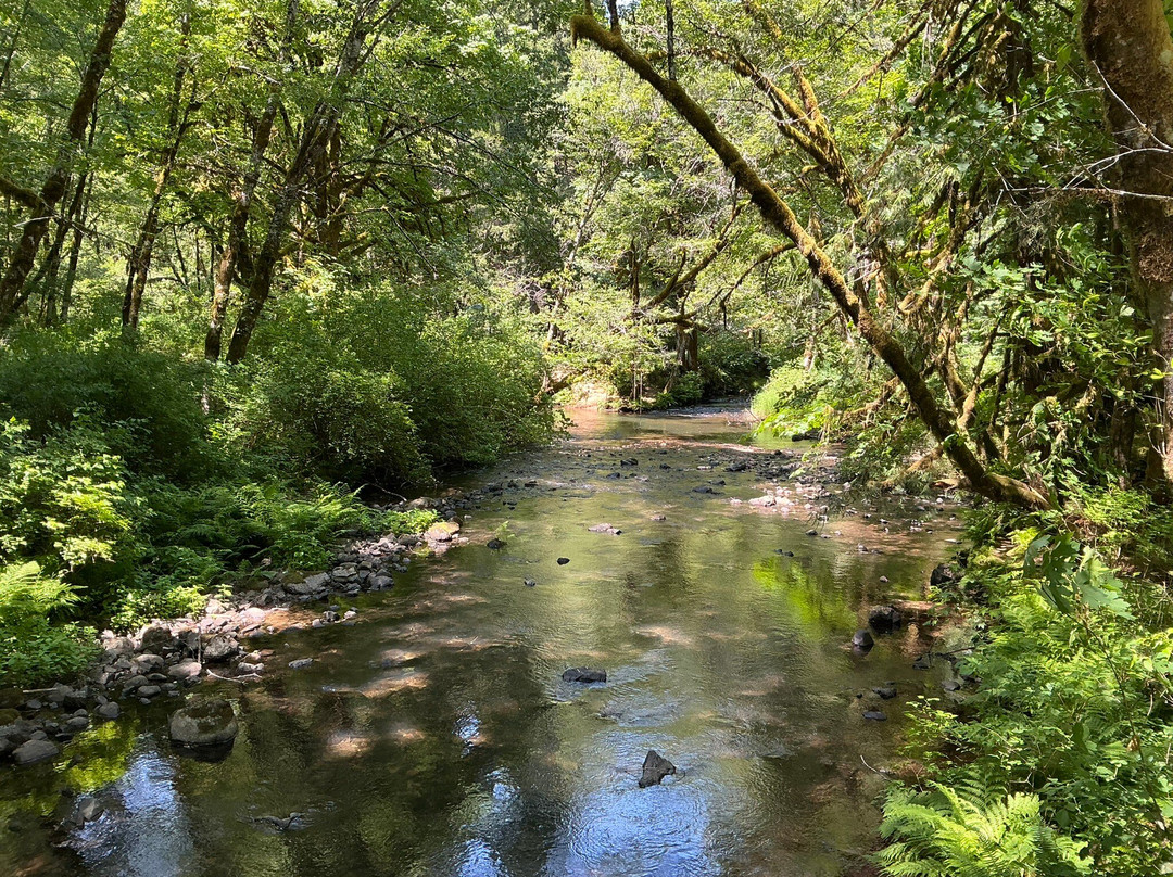 Alsea Falls Recreation Site-Alsea必去景点