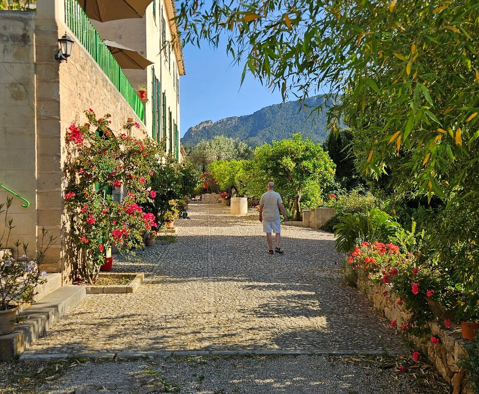 Agroturisme Finca Sa Maniga主图