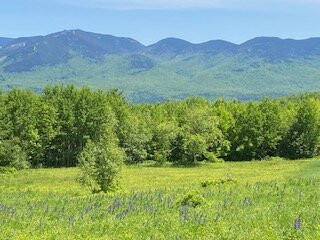 Cannon Mountain-弗朗科尼亚必去景点