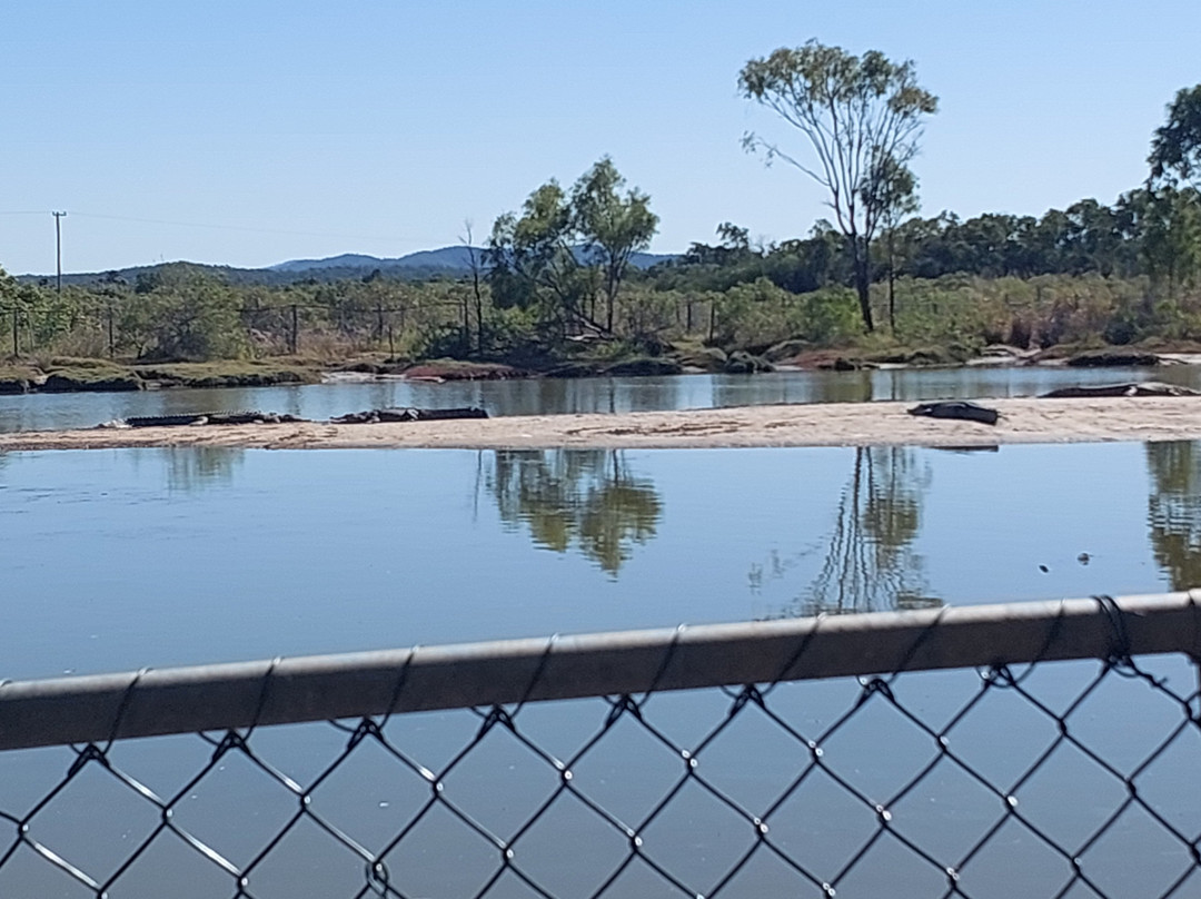 Koorana Crocodile Farm景点图片
