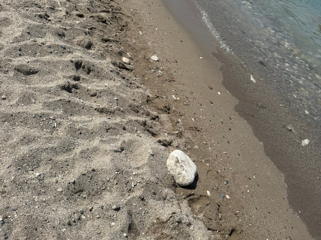 Supple Beach Club景点图片
