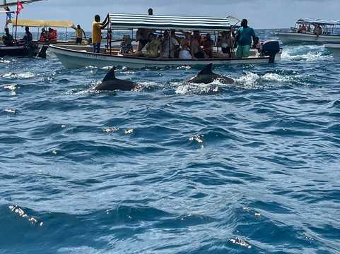 Discovery Zanzibar and Tanzania with Daniel-桑给巴尔岛必去景点
