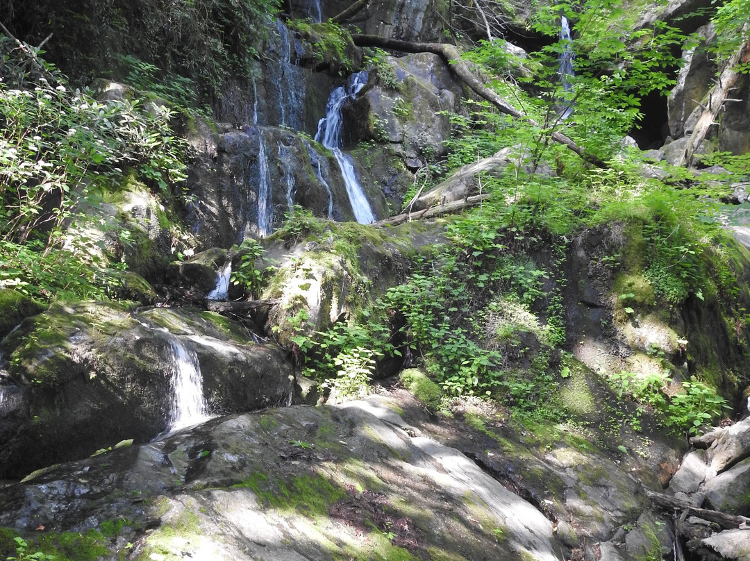 Newfound Gap-大雾山国家公园必去景点