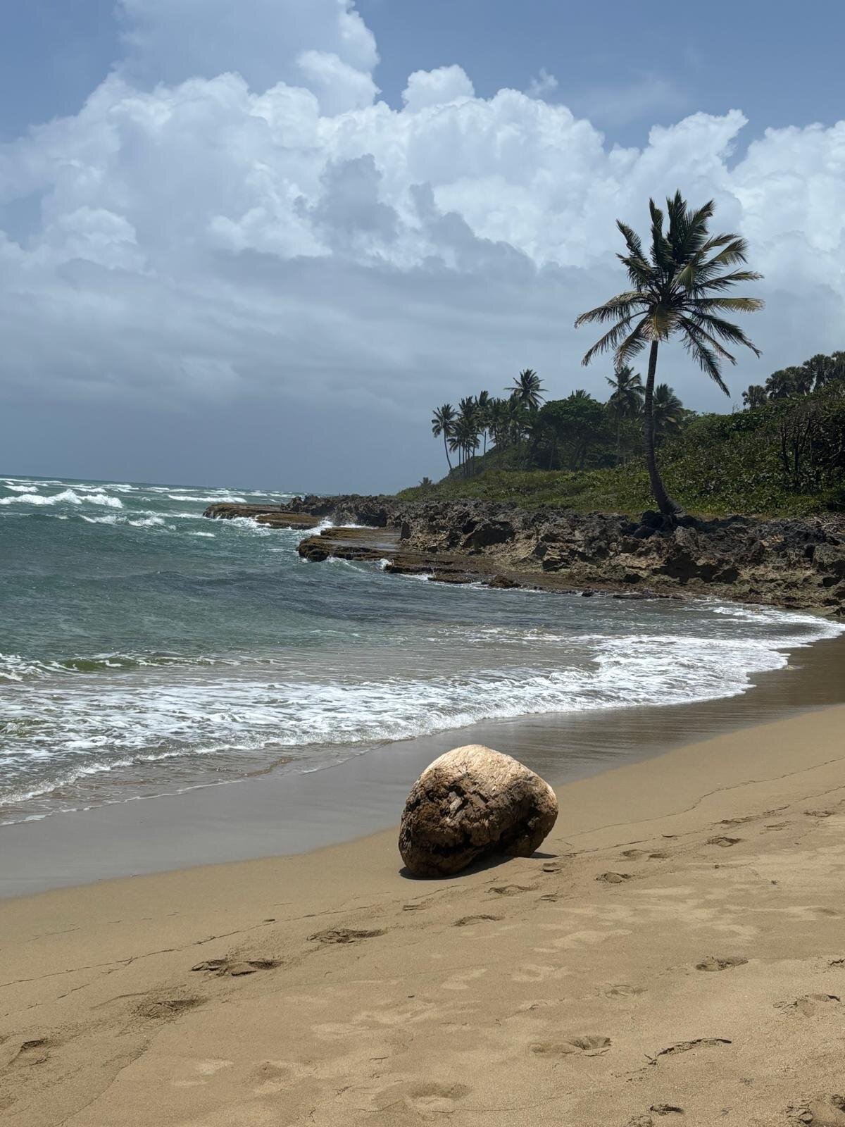 Surfbreak Cabarete B&B Surf And Yoga-泳池