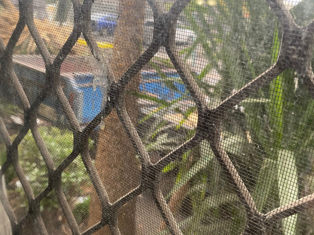 Lindy Lodge Motel主图