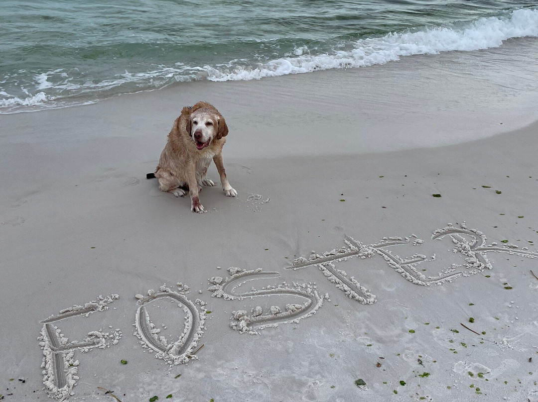 Gulf Coast Inn主图