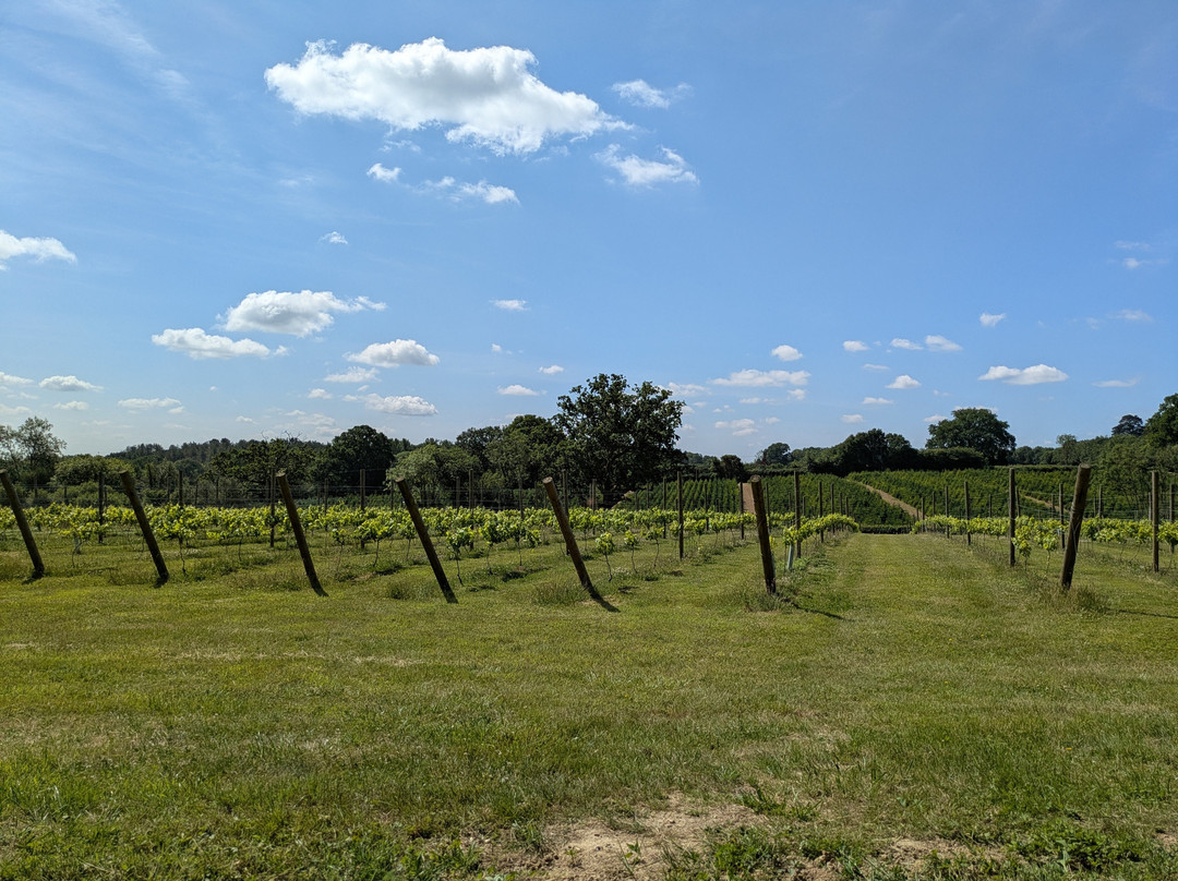 Goddenwick Farm