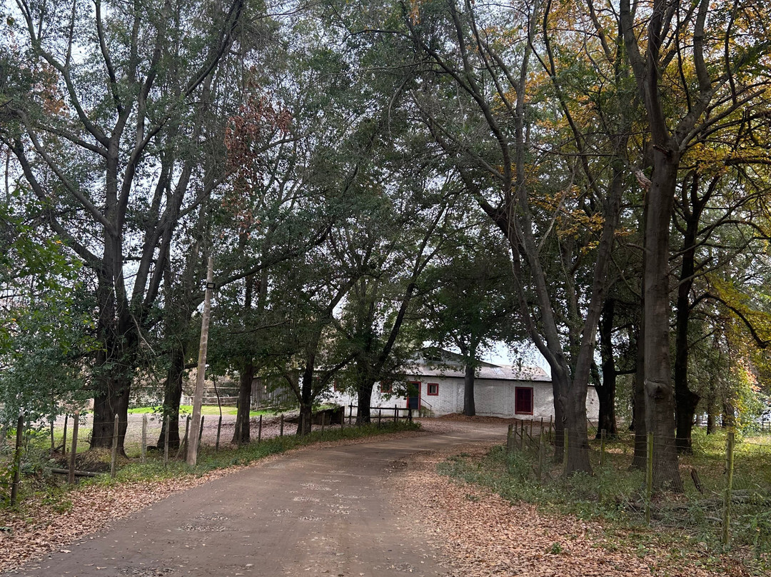 Laura Hartwig Winery-圣克鲁斯必去景点