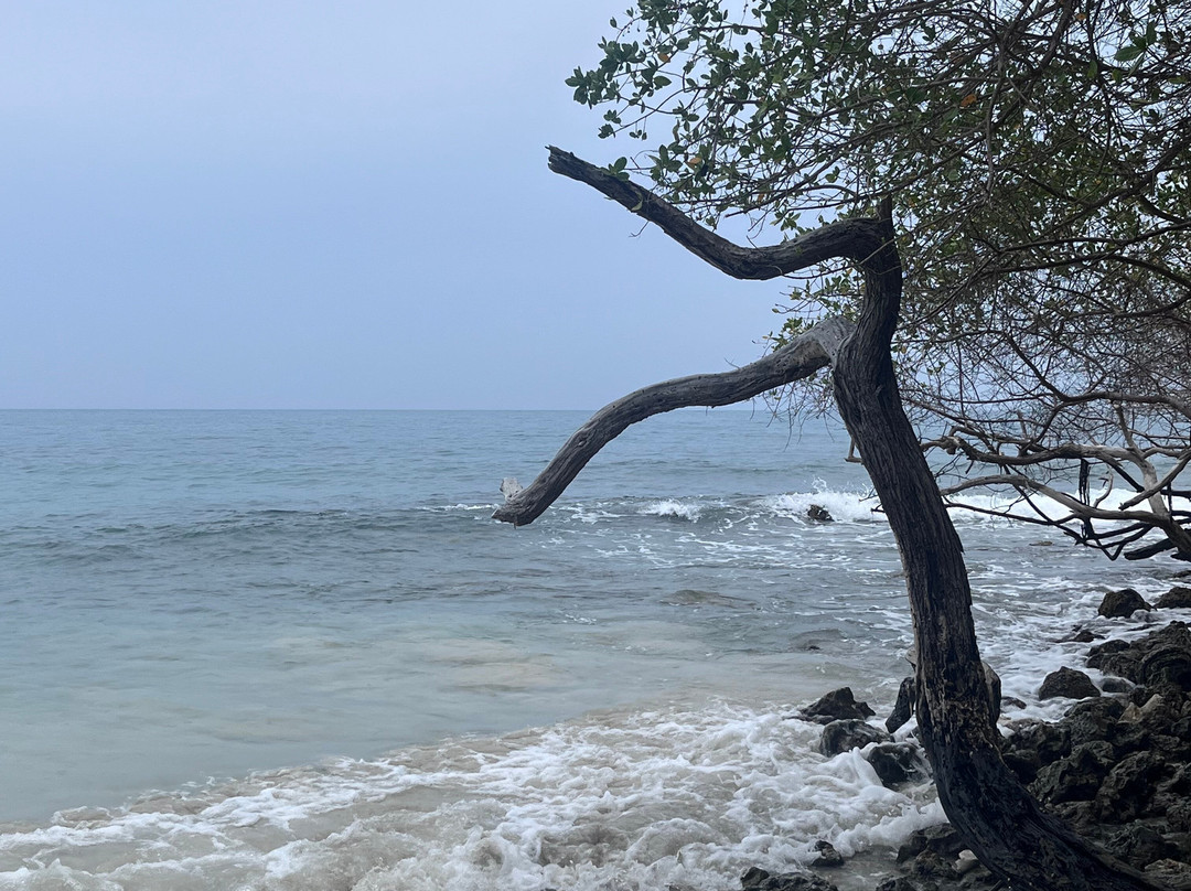 Isla Fuerte Ecolodge &  Diving Center-Isla Fuerte必去景点