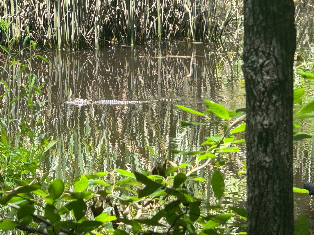 J.F. Gregory Park-里士满希尔必去景点