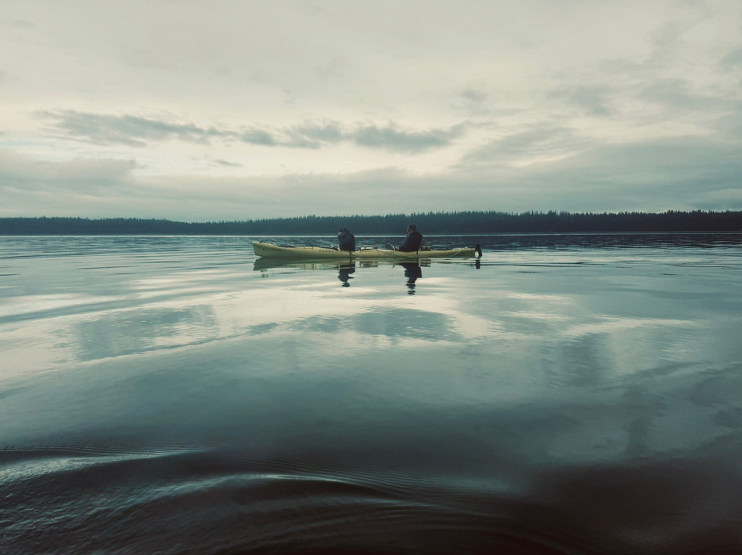 Glacier Bay Sea Kayaks-古斯塔夫斯必去景点