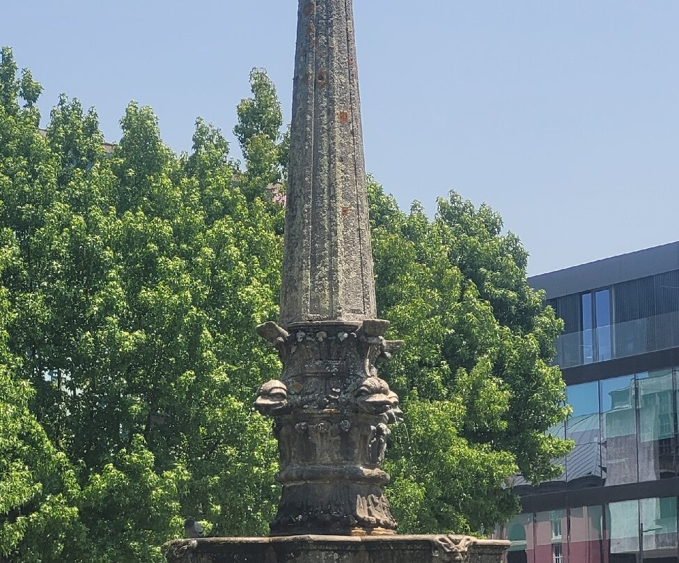 Largo Carlos Amarante-布拉加区必去景点