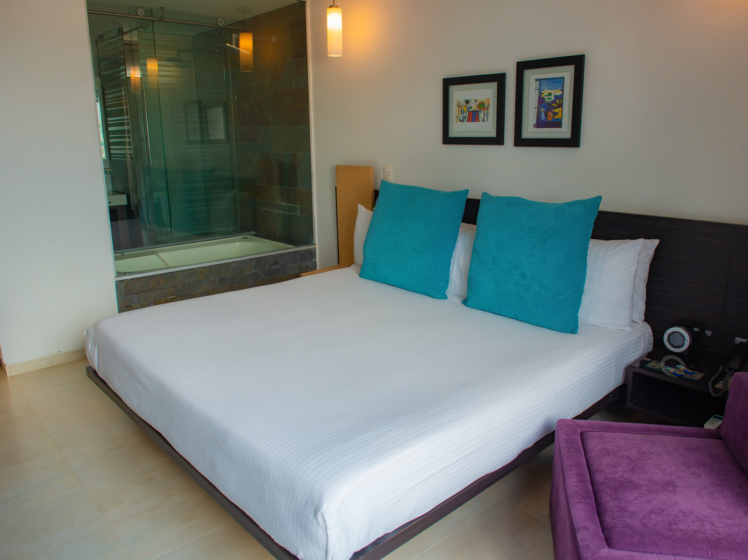 Hotel Casablanca Cúcuta主图