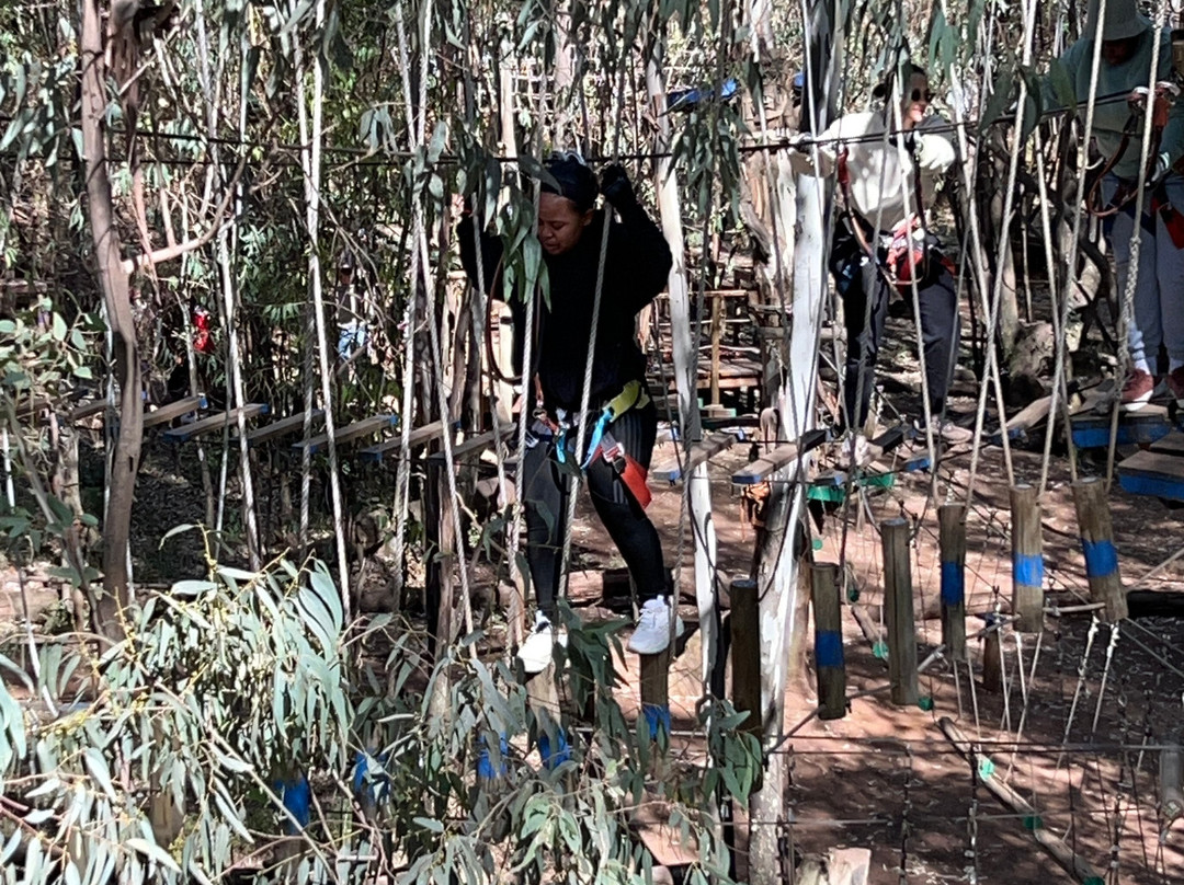 Acrobranch Centurion-三图里恩必去景点