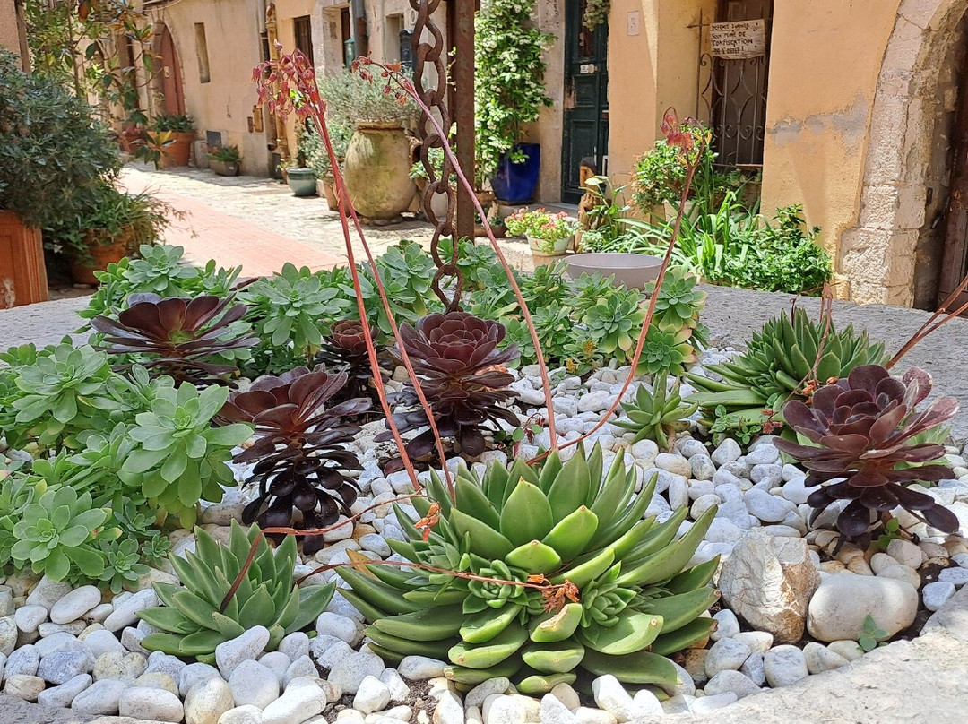 Vieux La Turbie-La Turbie必去景点