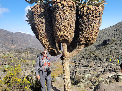 Africa Climbers & Adventures-莫西必去景点