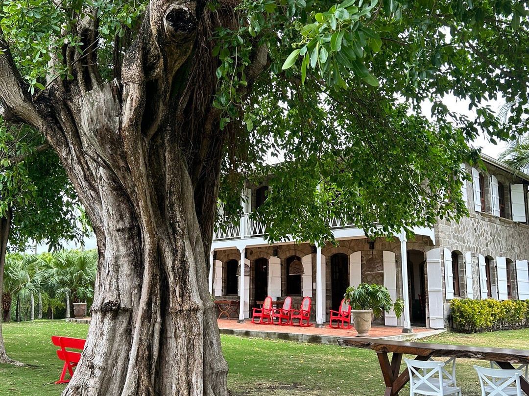 Distillerie Rhum A1710-Le Francois必去景点