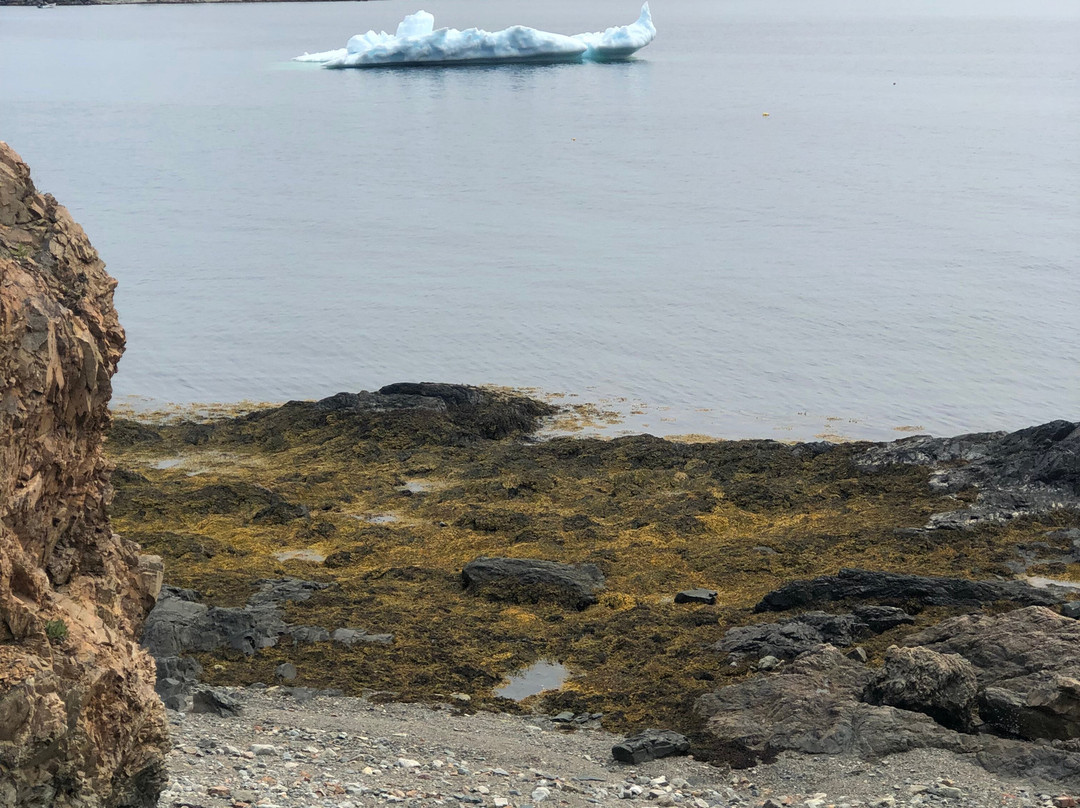 McCarthy's Party - Day Tours-圣约翰必去景点