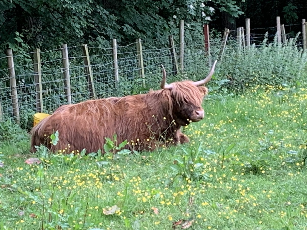 塔利艾尔酒店-官方