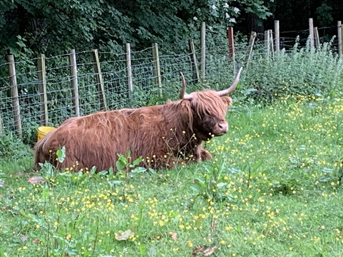 塔利艾尔酒店主图